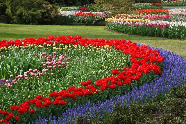 How to edge flower beds