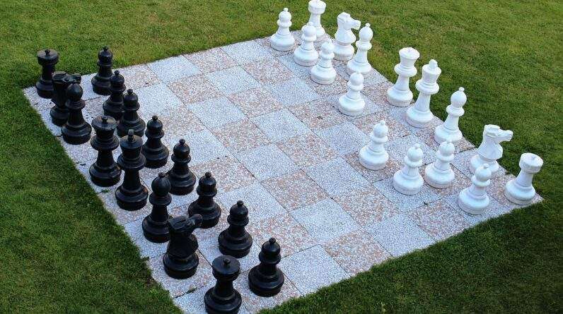 chess game, garden chess, chess pieces