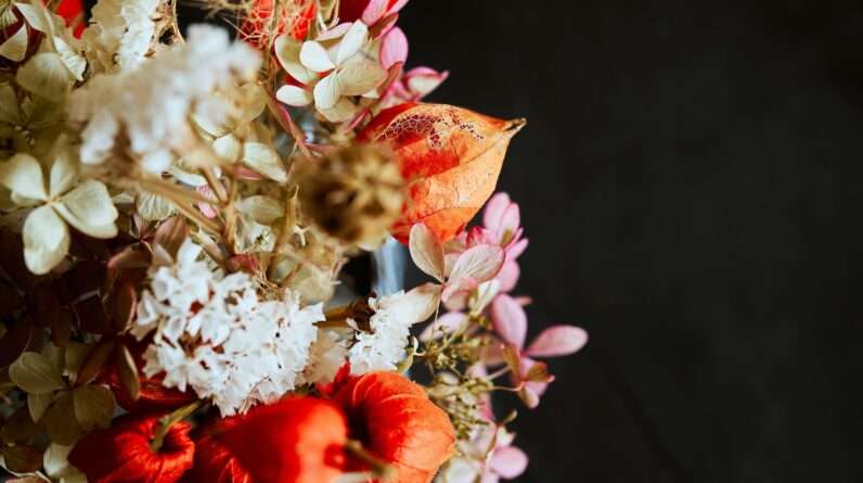 red and white flowers with green leaves