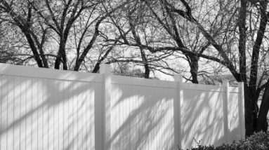 grayscale photo of trees near white wall