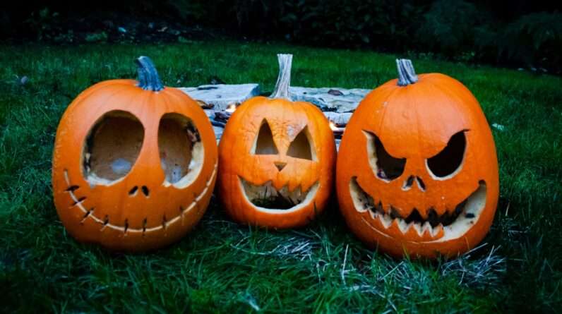 jack o lantern on green grass during daytime