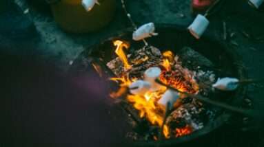 people grilling marshmallows