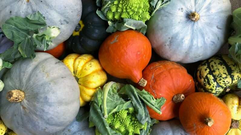 selective focus photography of vegetables