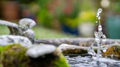 water falling from brown wooden log