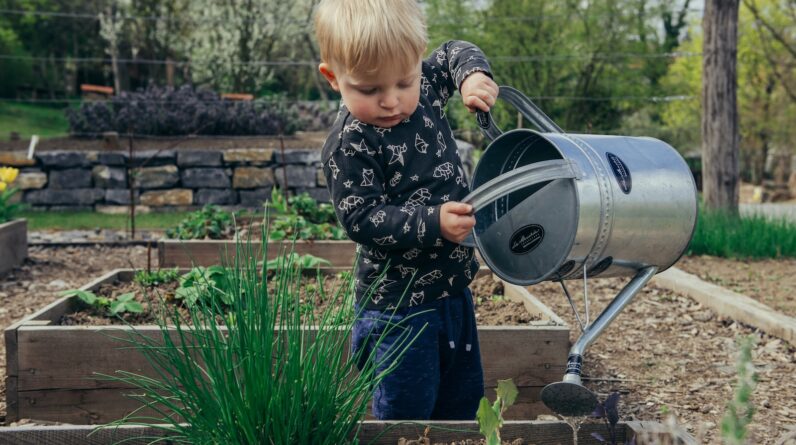 garden landscaping without grass