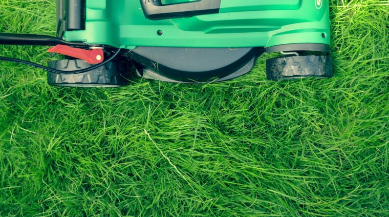 green and black lawnmower on green grass